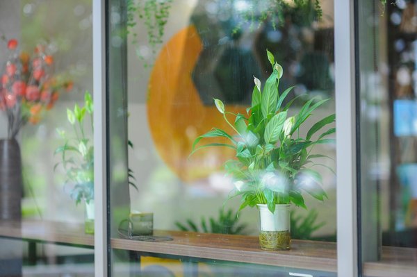 Découvrez les secrets de la photographie de nuit : approches clés pour immortaliser des paysages spectaculaires